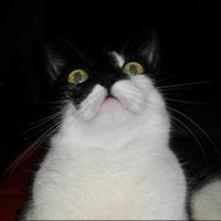 Marta Molina (@martamolina87) 's Twitter Profile Photo Marta Molina (@martamolina87) 's Twitter Profile Photo