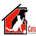 cats and dogs haven (@catsanddogshav1) Twitter profile photo