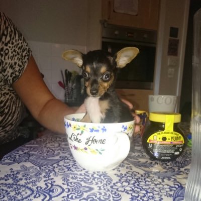 beahappydays's profile picture. Single,creative bean of 4. Empathy is the answer to making our world a better place. Love & Peace xxx