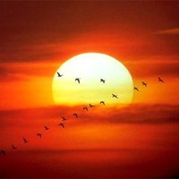 Miguel (@miguel1urga) 's Twitter Profile