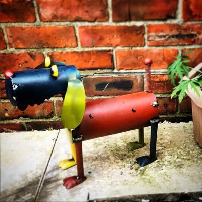 whatharrietdid's profile picture. Yorkshire girl living in the north east. I love animals, reading, my friends, oh and shoes!