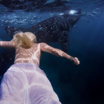 dhgtendatbuaday's profile picture. 