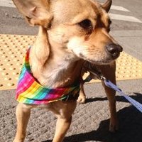 Gabby Markoff (@gab_em) 's Twitter Profile