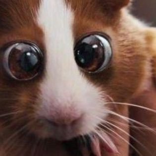 BlastedElliott's profile picture. 