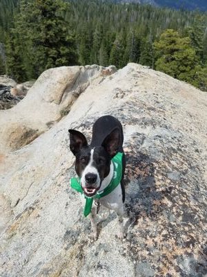 LederleDj's profile picture. 