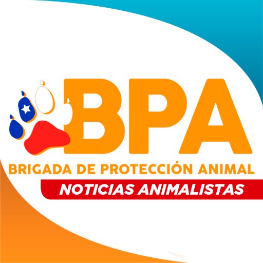 BPAnoticias Profile Picture