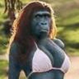 supernonny's profile picture. 