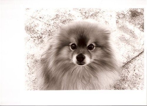 PedotaMary's profile picture. 