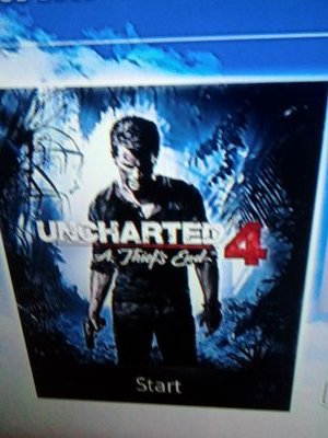 DevonRohr's profile picture. I'm bi gotta prob with that