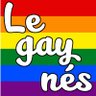 LEGAYNES's profile picture. Comunidad LGTBI de autoayuda del Sur de Madrid desde el año 2.005