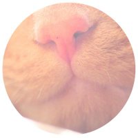 ใฏใใฏใ๐๐พ๐โโฌ๐พ๐๐พ๐โโฌ๐๐ฅ (@masa4081) 's Twitter Profile