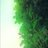crossedpaths4