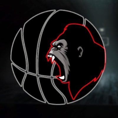Straight Blast Ballers 2k ProAm team gearing towards something great for 2k17, looking for reserves psn GaryAVFC2012 Jonnyfrazer7, Xbox 1 - eXceL Aruh