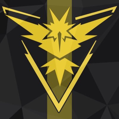 The official @teaminstinct_go account for those who fight as the storm in Tampa Bay!