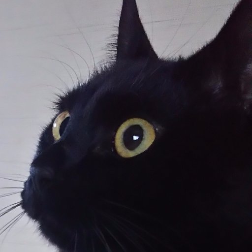 ゲーム好きな猫飼い。原神スタレプレイ中。FGOと刀剣乱舞、ツイステもぼちぼちと。
ゼノブレイドクロスはクリア後をプレイ中。
日本史大好き。
「べらぼう」楽しんで視聴してます