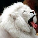 Abraham kayode Oluwafisayo - @makay4jesus - Twitter