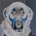 Jay Hargrove - @jayhargrove - Twitter