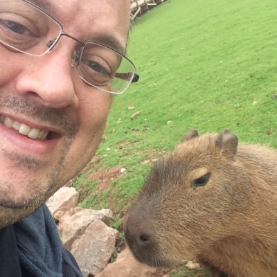 Software licensing consultant with a bit of illustration and gamedev on the side