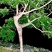 EarthGoddess (@earthgoddess52) Twitter profile photo