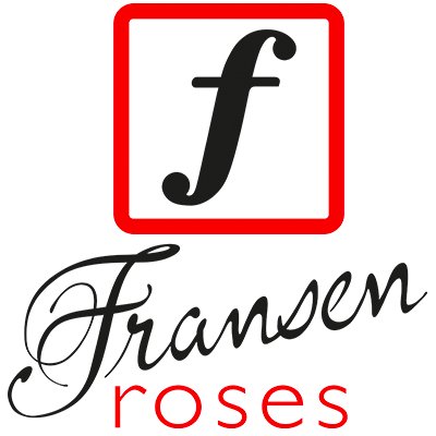 fransenroses's profile picture. Red Naomi roses 🌹