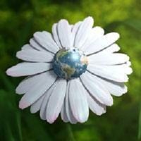 Cheryl M🌻 (@phancy58) 's Twitter Profile