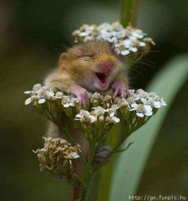 2000Cho's profile picture. 사람이 좋다