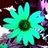 poti_gg's profile image