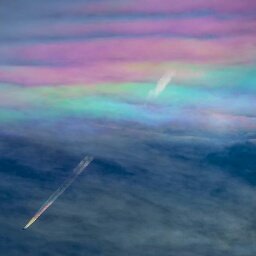 DekanchanT's profile picture. 