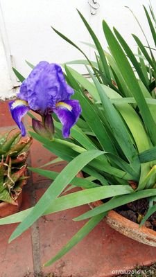 patrigaray's profile picture. 