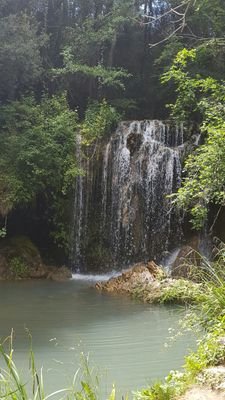 8jmt's profile picture. 