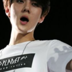 nhsehun's profile picture. 