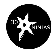 30 Ninjas (@30ninjas) 's Twitter Profile