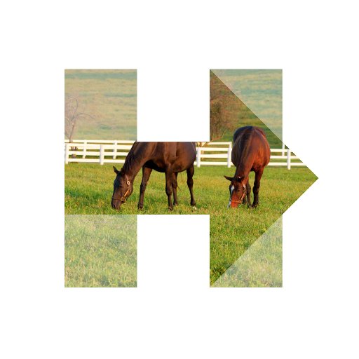 Hillary for Kentucky is the official account for our grassroots team to elect @HillaryClinton. Follow us for updates & to get involved! #ImWithHer