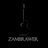 ZambrawerGuitar's profile image