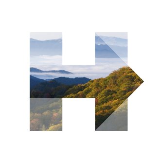 HillaryforTN's profile picture. Hillary for Tennessee is the official account for our grassroots team to elect @HillaryClinton. Follow us for updates & to get involved! #ImWithHer