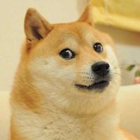 Reiko Akagi (@reiko_akagi) 's Twitter Profile