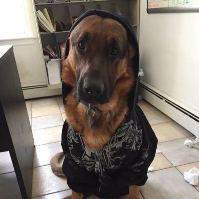 MiRo58's profile picture. St. John's alumni