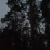 Черный цвет (@darkbreedlord) Twitter profile photo Черный цвет (@darkbreedlord) Twitter profile photo