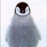 pcustals's profile picture. I am a simple engineer and artist, searching for Waldo. I also believe that penguins will one day inherit the earth, and that all coincidences are conspiracies.