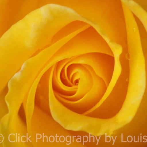 clickphotograp3's profile picture. Photographer