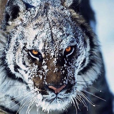 fred_2407's profile picture. 