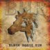 BHR (@blackhorserun) Twitter profile photo BHR (@blackhorserun) Twitter profile photo