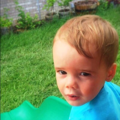 toombsrd's profile picture. 