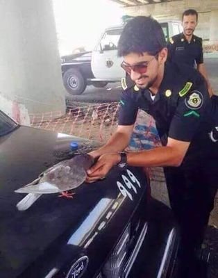 6Rggw3Yr6pdPhpx's profile picture. الراحمين يرحمهم الرحمن