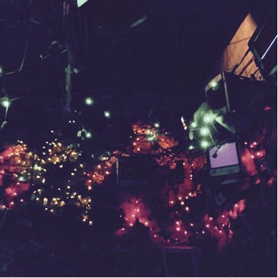 BCarrilloVega's profile picture. Socialiste 🌹