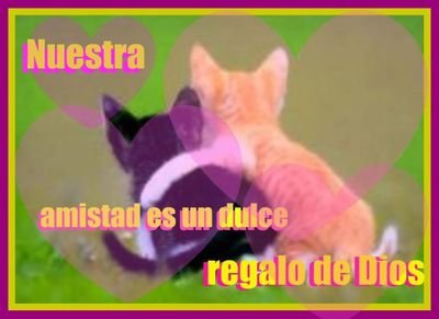 Rene63943251's profile picture. 