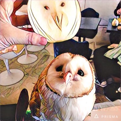 メンフクロウのしいたけが21.6.20に空に旅立ちました👼今いる家族たちのことを少しずつ載せていきます🦉餌屋をはじめました⇒冷凍餌専門店フクロウ百貨店の店長@たけし (@Fukurohyakkaten)さんをチェックしよう https://t.co/Kk9lgcPoPX