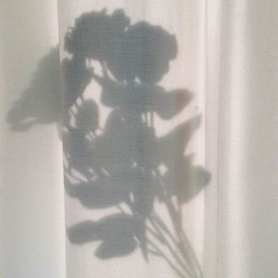 Fadilott's profile picture. 