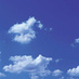 Sustainable Living (@modernecoliving) Twitter profile photo Sustainable Living (@modernecoliving) Twitter profile photo