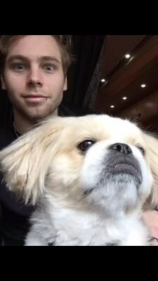 Mady5SOS1's profile picture. Sounds Live Feels Live Maryland Heights!!